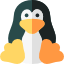 WSL Backup